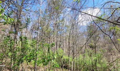 Photo #15 of CABIN BRANCH ROAD, MARSHALL, VA 3.0 acres