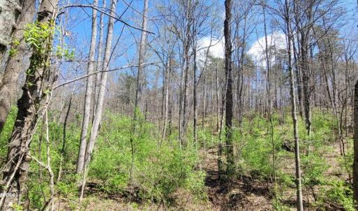Photo #2 of CABIN BRANCH ROAD, MARSHALL, VA 3.0 acres
