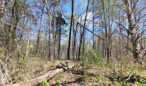 Photo #16 of CABIN BRANCH ROAD, MARSHALL, VA 3.0 acres