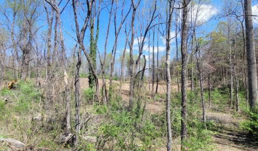 Photo #49 of CABIN BRANCH ROAD, MARSHALL, VA 3.0 acres