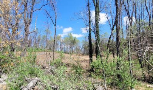 Photo #50 of CABIN BRANCH ROAD, MARSHALL, VA 3.0 acres