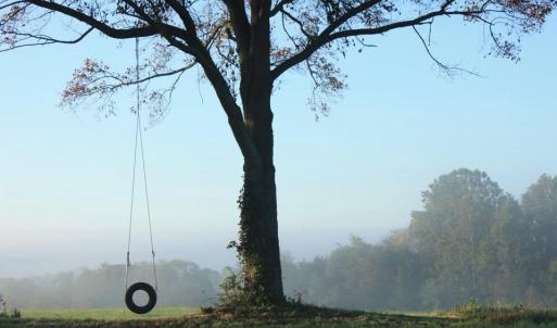 Photo #1 of SEMINOLE TRL, ROCHELLE, VA 19.6 acres