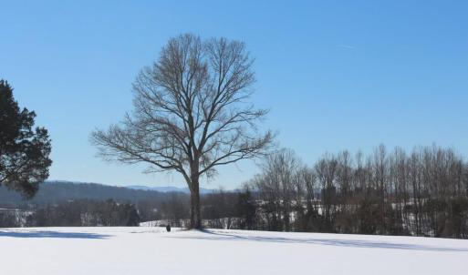 Photo #4 of SEMINOLE TRL, ROCHELLE, VA 19.6 acres