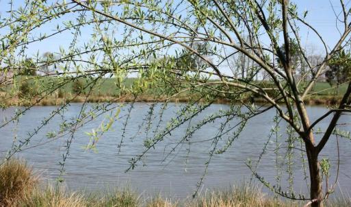 Photo #7 of SEMINOLE TRL, ROCHELLE, VA 19.6 acres
