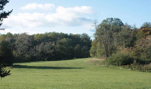 Photo #9 of SEMINOLE TRL, ROCHELLE, VA 19.6 acres