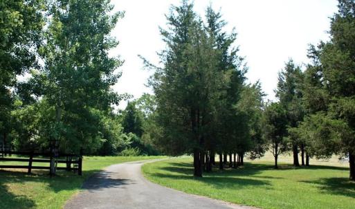 Photo #6 of SEMINOLE TRL, ROCHELLE, VA 19.6 acres