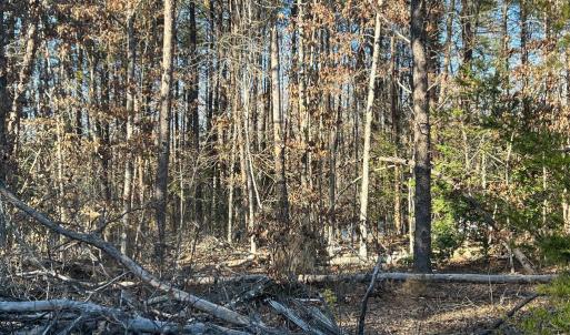 Photo #5 of 13009 LAKE ANNA VILLAGE DR, SPOTSYLVANIA, VA 23.5 acres