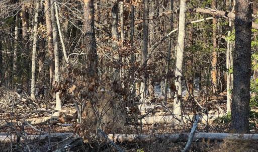 Photo #6 of 13009 LAKE ANNA VILLAGE DR, SPOTSYLVANIA, VA 23.5 acres