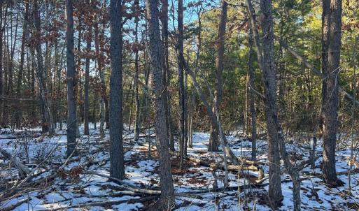 Photo #7 of 13009 LAKE ANNA VILLAGE DR, SPOTSYLVANIA, VA 23.5 acres