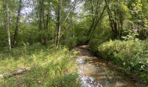 Photo #1 of 9323 MILL POND RD, SPOTSYLVANIA, VA 15.0 acres