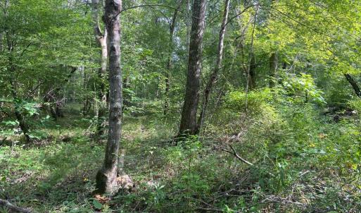 Photo #6 of 9323 MILL POND RD, SPOTSYLVANIA, VA 15.0 acres