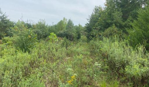 Photo #7 of 9323 MILL POND RD, SPOTSYLVANIA, VA 15.0 acres