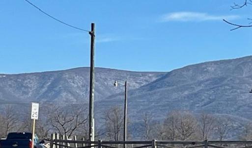 Photo #7 of 133 PAINTERS WOODS RD, LURAY, VA 5.6 acres