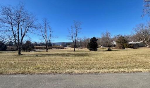 Photo #4 of 133 PAINTERS WOODS RD, LURAY, VA 5.6 acres