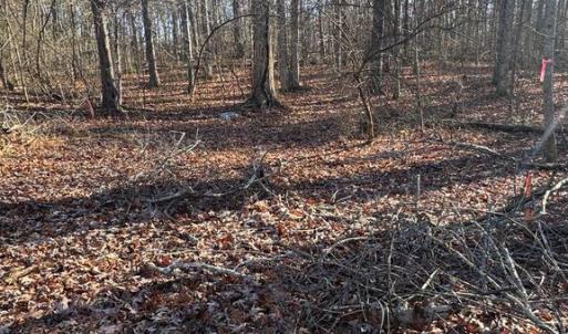 Photo #1 of COX MILL ROAD, GORDONSVILLE, VA 3.1 acres