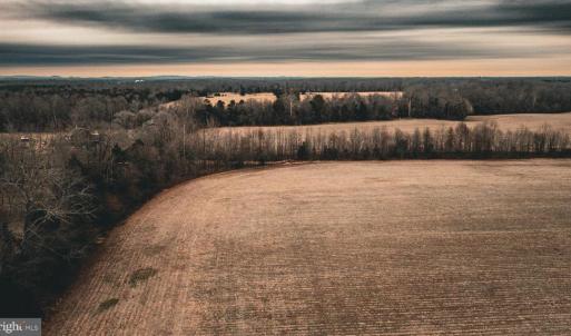 Photo #5 of ELLIS RD, LIGNUM, VA 54.2 acres