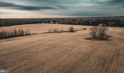Photo #6 of ELLIS RD, LIGNUM, VA 54.2 acres