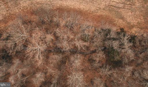 Photo #11 of ELLIS RD, LIGNUM, VA 54.2 acres