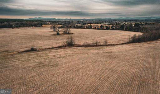 Photo #15 of ELLIS RD, LIGNUM, VA 54.2 acres