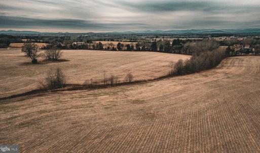 Photo #16 of ELLIS RD, LIGNUM, VA 54.2 acres
