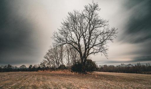 Photo #17 of ELLIS RD, LIGNUM, VA 54.2 acres