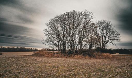 Photo #18 of ELLIS RD, LIGNUM, VA 54.2 acres