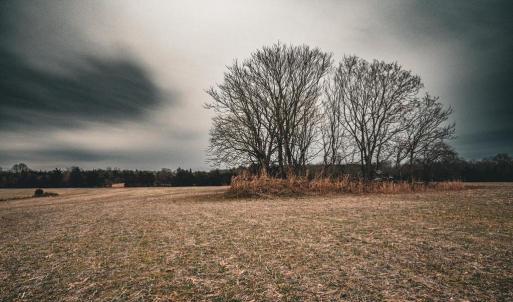 Photo #19 of ELLIS RD, LIGNUM, VA 54.2 acres