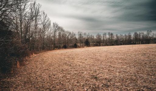 Photo #21 of ELLIS RD, LIGNUM, VA 54.2 acres