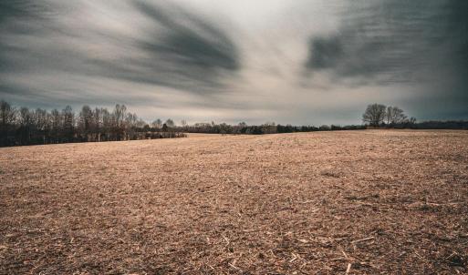 Photo #22 of ELLIS RD, LIGNUM, VA 54.2 acres