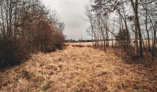 Photo #23 of ELLIS RD, LIGNUM, VA 54.2 acres