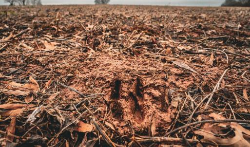 Photo #24 of ELLIS RD, LIGNUM, VA 54.2 acres