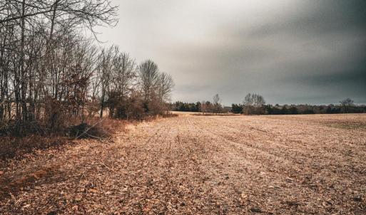 Photo #25 of ELLIS RD, LIGNUM, VA 54.2 acres
