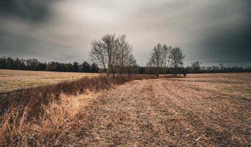 Photo #26 of ELLIS RD, LIGNUM, VA 54.2 acres