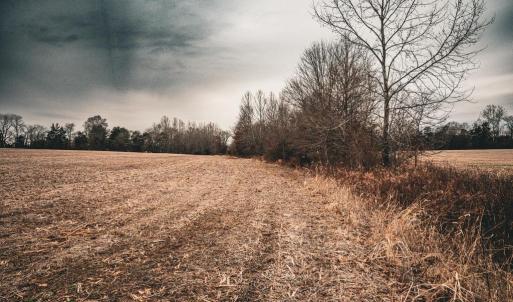 Photo #27 of ELLIS RD, LIGNUM, VA 54.2 acres