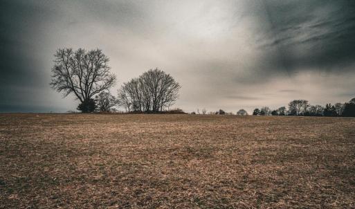 Photo #28 of ELLIS RD, LIGNUM, VA 54.2 acres