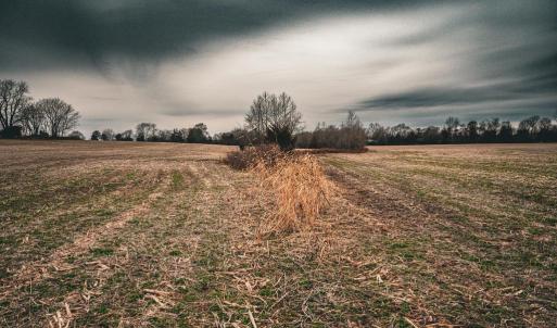Photo #29 of ELLIS RD, LIGNUM, VA 54.2 acres