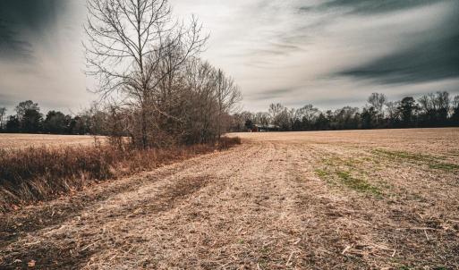 Photo #30 of ELLIS RD, LIGNUM, VA 54.2 acres