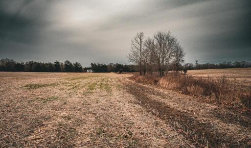 Photo #31 of ELLIS RD, LIGNUM, VA 54.2 acres
