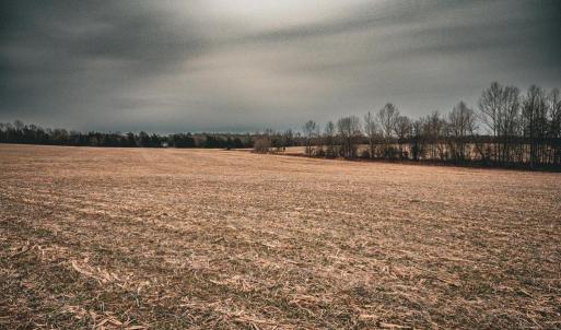 Photo #32 of ELLIS RD, LIGNUM, VA 54.2 acres