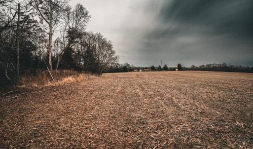 Photo #33 of ELLIS RD, LIGNUM, VA 54.2 acres