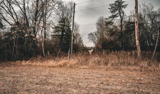 Photo #34 of ELLIS RD, LIGNUM, VA 54.2 acres