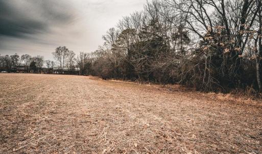 Photo #35 of ELLIS RD, LIGNUM, VA 54.2 acres