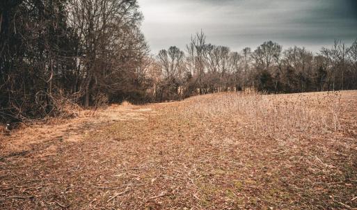Photo #36 of ELLIS RD, LIGNUM, VA 54.2 acres
