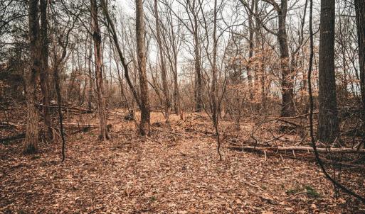 Photo #37 of ELLIS RD, LIGNUM, VA 54.2 acres