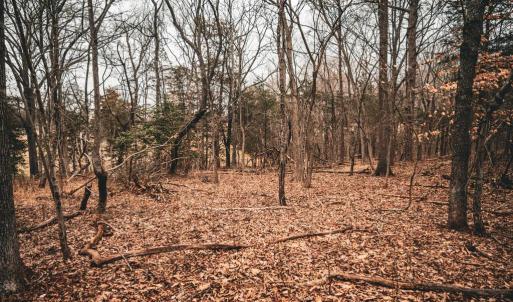 Photo #38 of ELLIS RD, LIGNUM, VA 54.2 acres