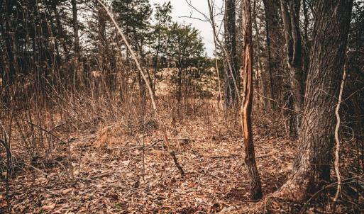 Photo #39 of ELLIS RD, LIGNUM, VA 54.2 acres
