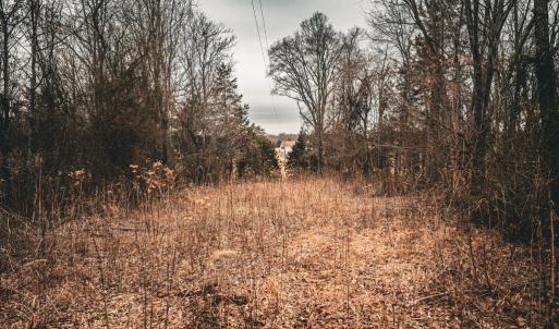 Photo #41 of ELLIS RD, LIGNUM, VA 54.2 acres