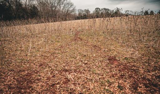 Photo #43 of ELLIS RD, LIGNUM, VA 54.2 acres