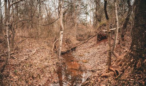 Photo #44 of ELLIS RD, LIGNUM, VA 54.2 acres