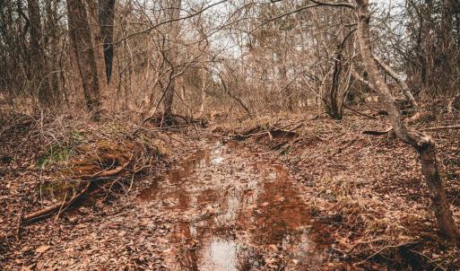 Photo #45 of ELLIS RD, LIGNUM, VA 54.2 acres